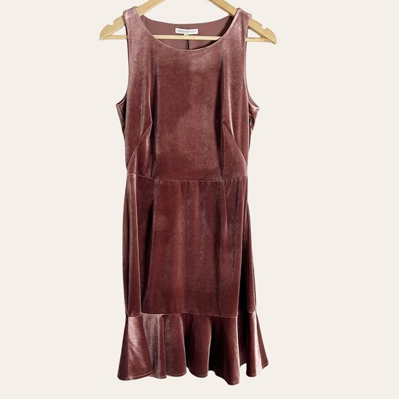 Rebecca Minkoff Tiffany Mauve Velvet Ruffle Hem Sleeveless Sheath Dress Size 4 - Picture 2 of 11